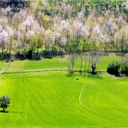 Ferienhaus House With 5 Bedrooms In With Furnished Garden And Wifi 18 Km From The Beach Monte San Pietrangeli